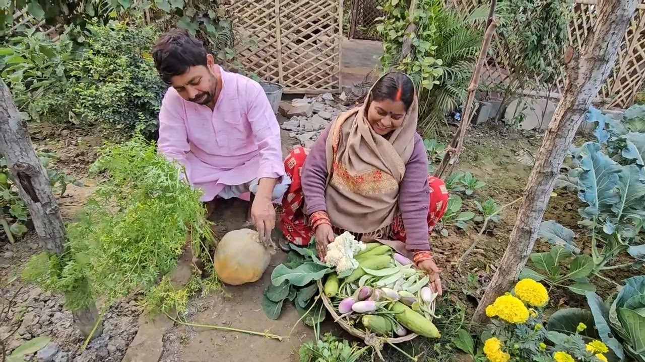 ठंड के  मौसम में चारों तरफ🌳 बहुत सारी सब्जियां हो गई है सारी सब्जियां तोड़ेंगे और सभी को देंगे🛖
