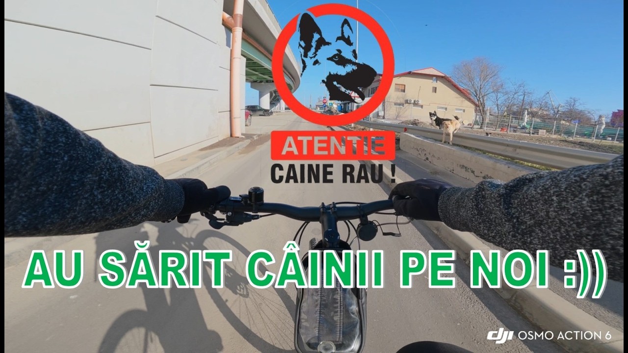 MERGEM APROAPE DE VAMA GIURGIULEȘTI. AU SĂRIT CÂINII PE NOI :)))