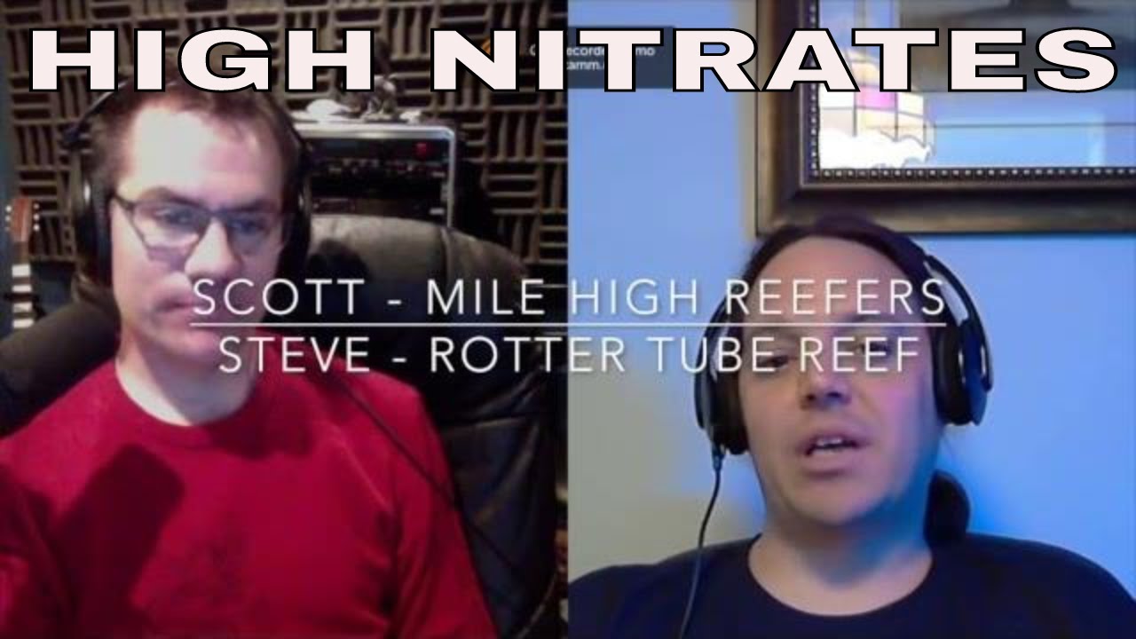 high nitrates in saltwater aquarium