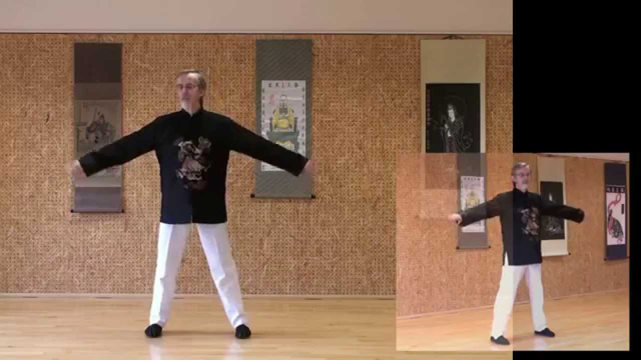 DYYSG Shu Gan Li Dan Gong foie 2-François Hainry (Disciple direct de YOU Xuan De) ABTCC 25
