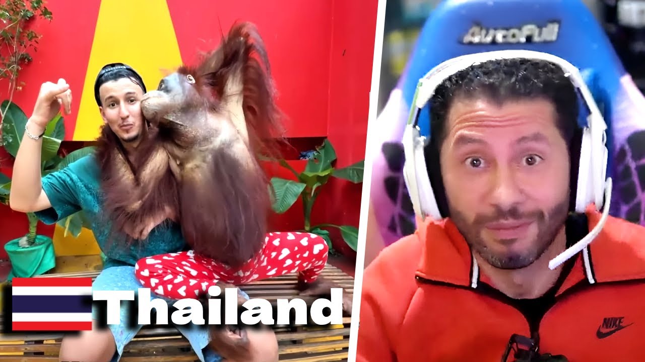 nahoule82 reaction irl @Bougassaaa in Thailand🇹🇭
