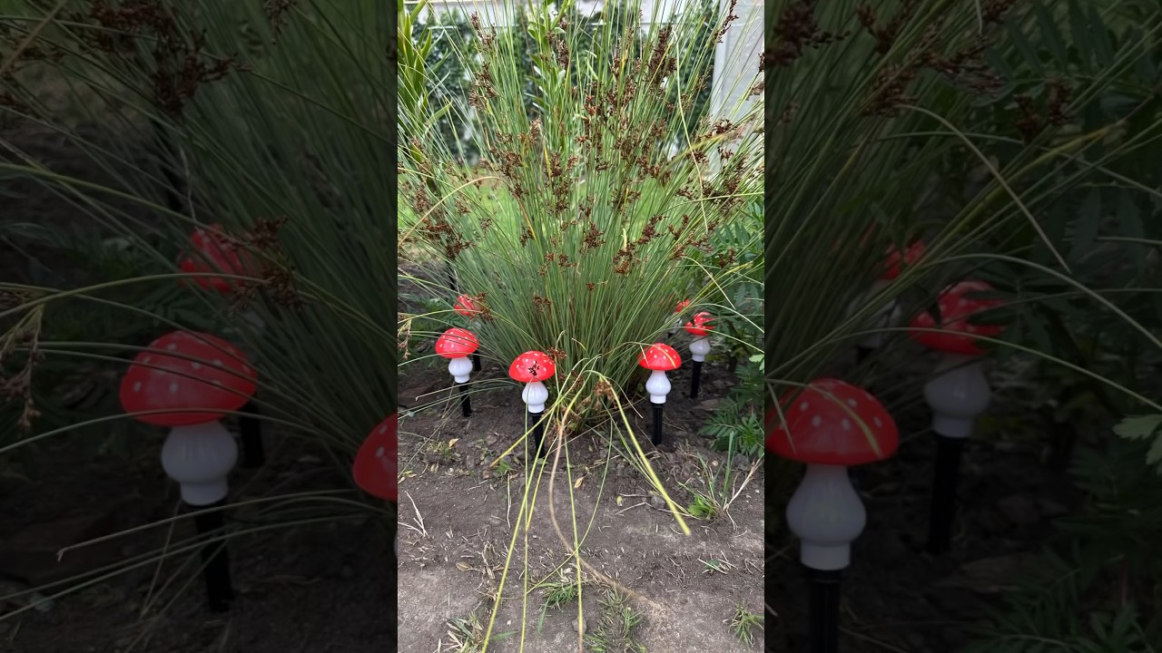 Mushroom garden lights on a solar panel #gardenlight #gardenlighting #nightgarden