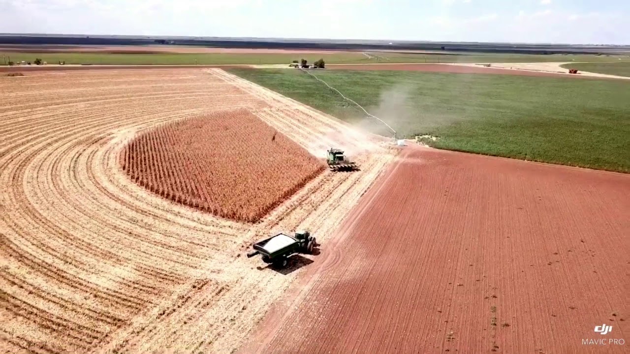 Teeter Farms- Lockney, TX