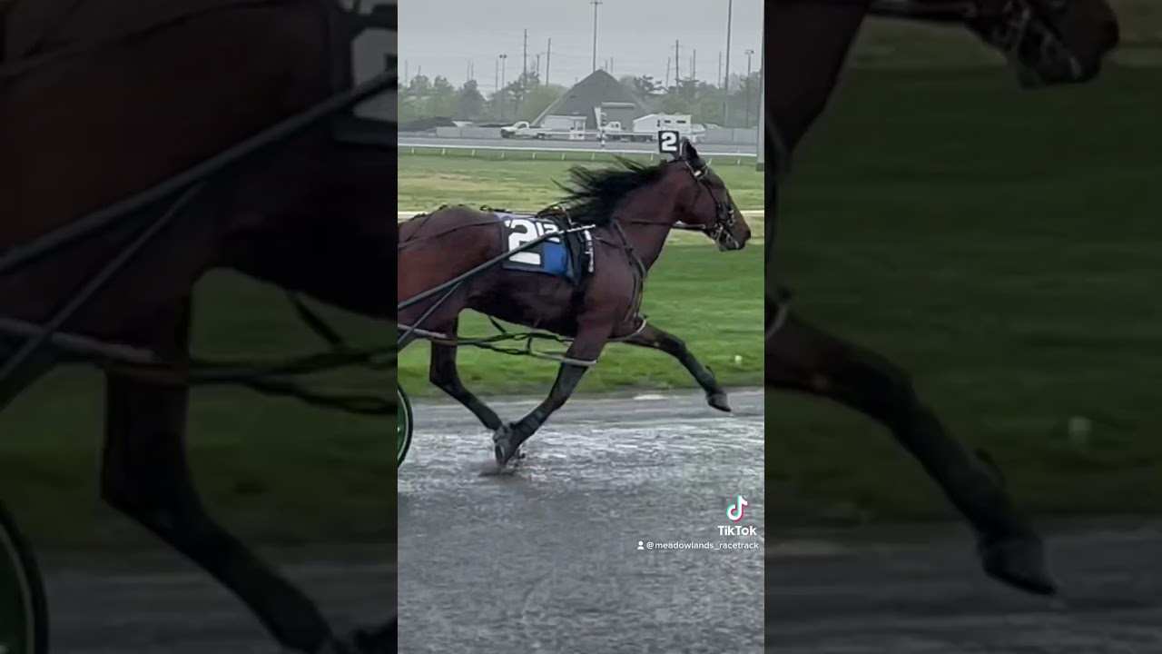 Harness racing action in the rain. #playbigm #harnessracing #meadowlandsracetrack