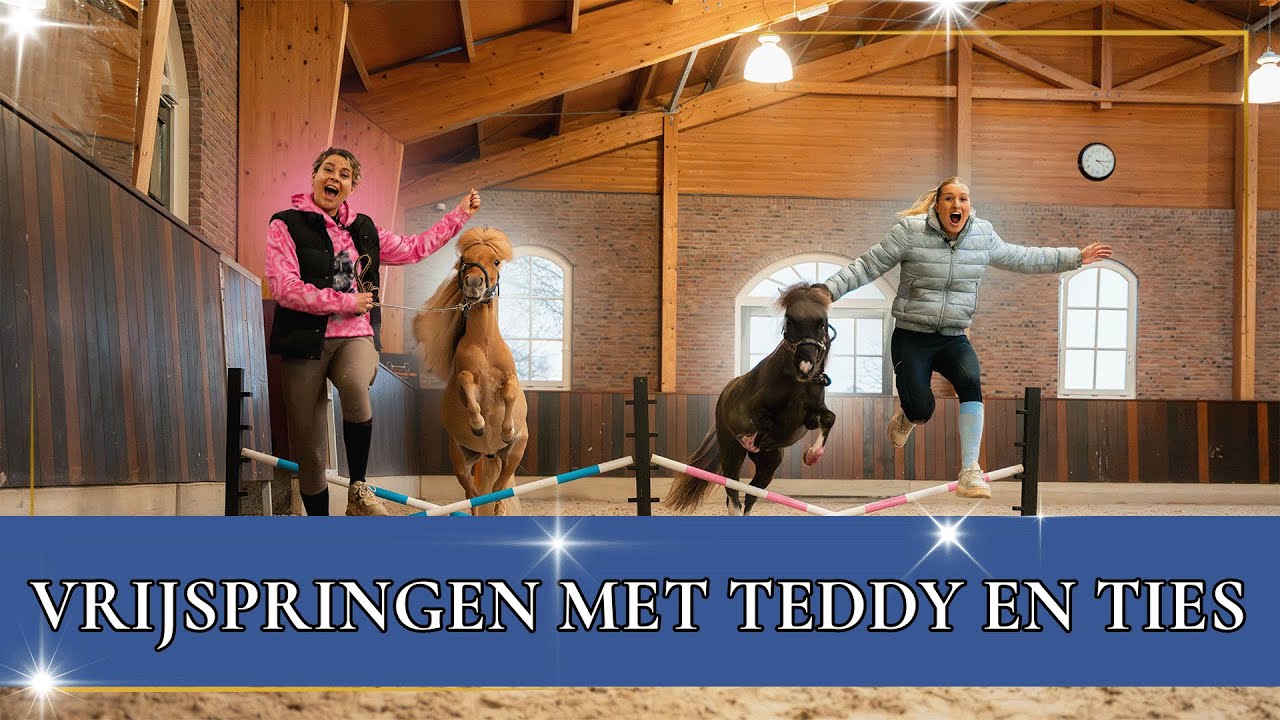 Teddy & Ties gaan vrijspringen! | PaardenpraatTV