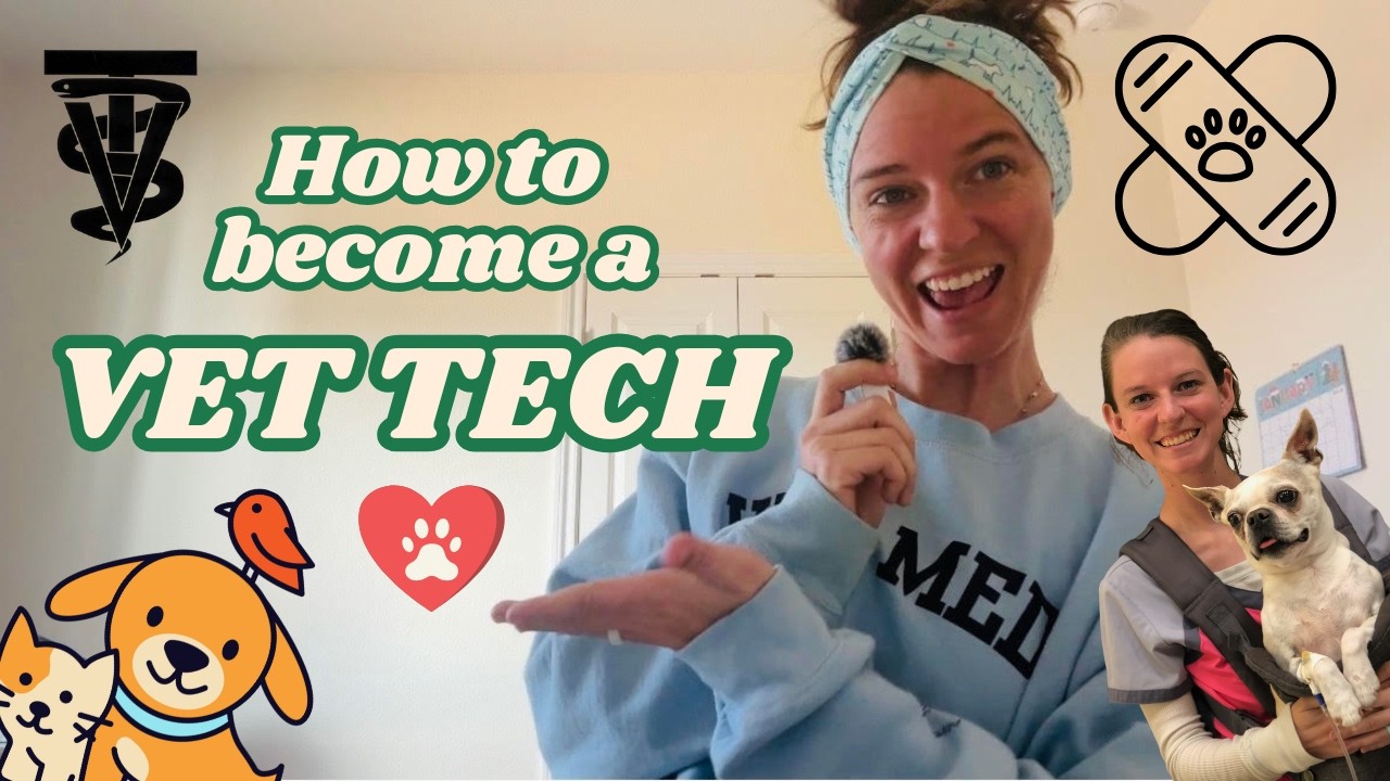 How to BECOME A VET TECH