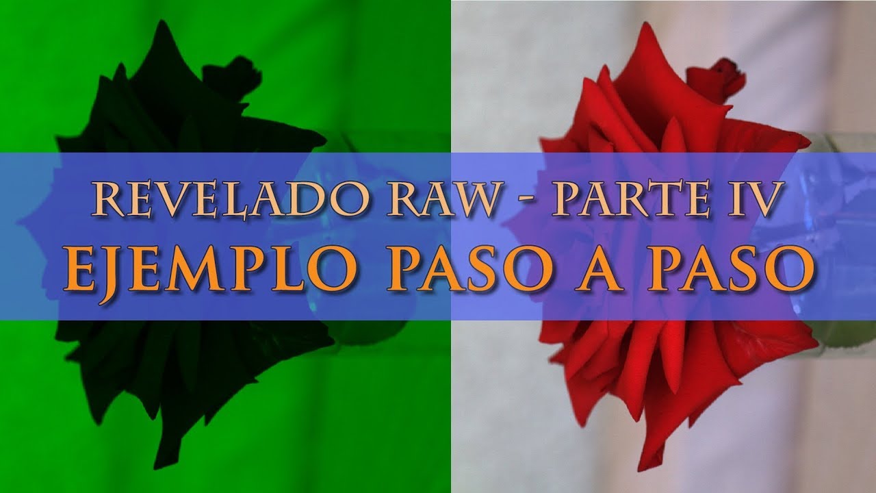 Ejemplo procesado fichero RAW