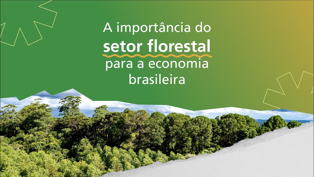 A força do setor florestal na economia brasileira