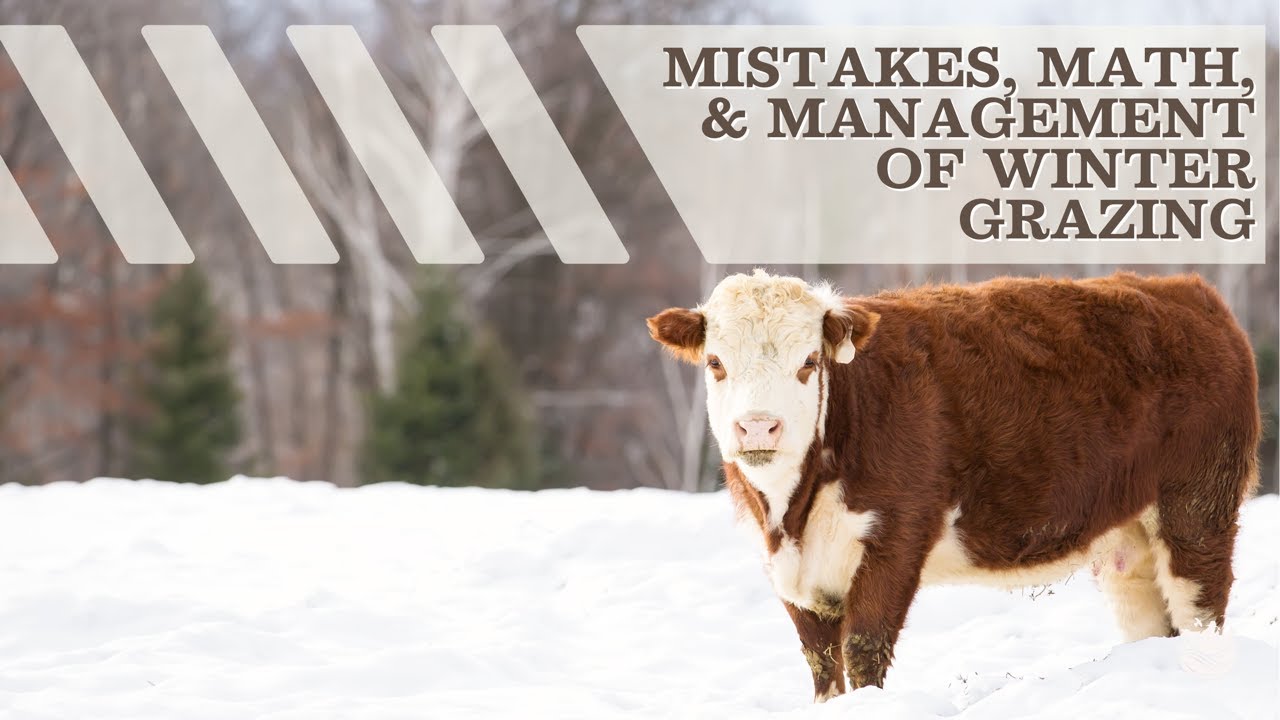 Mistakes, Math, and Management of Winter Grazing