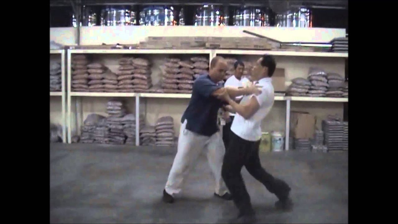 Tai Chi Push Hand Classical Review Year 2008 / 太极推手经典回顾 2008 年 ( Chew VS Adam Sifu )