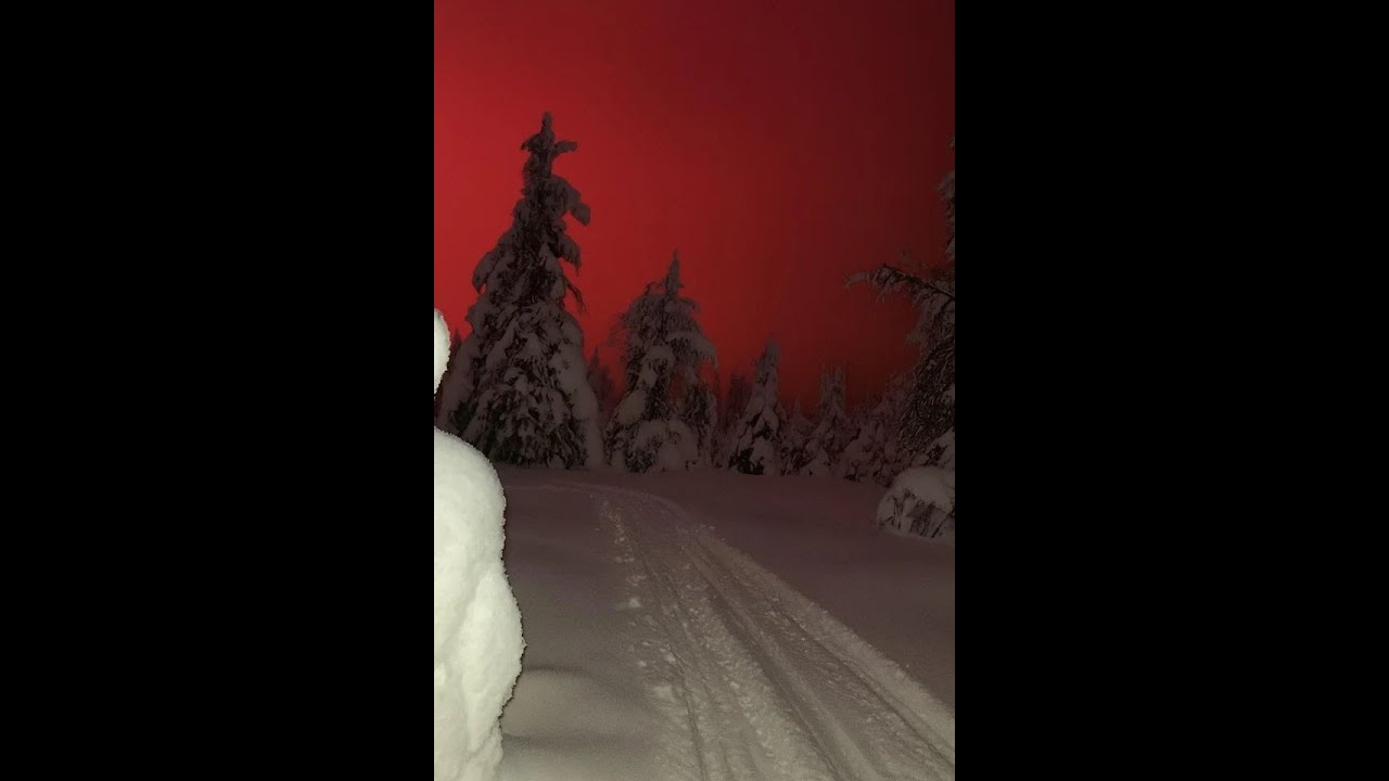 free joji + yeat + piss in the wind type beat different