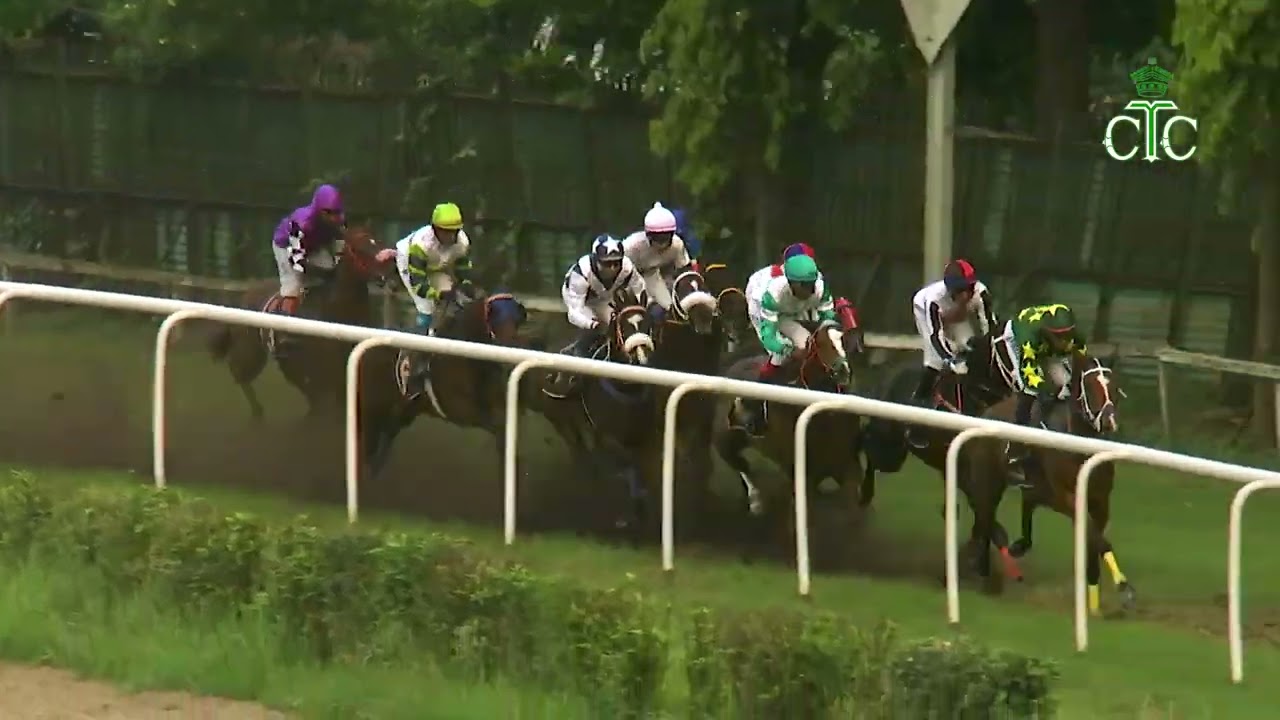 Кэша побеждает в скачках Amberetta Handicap.