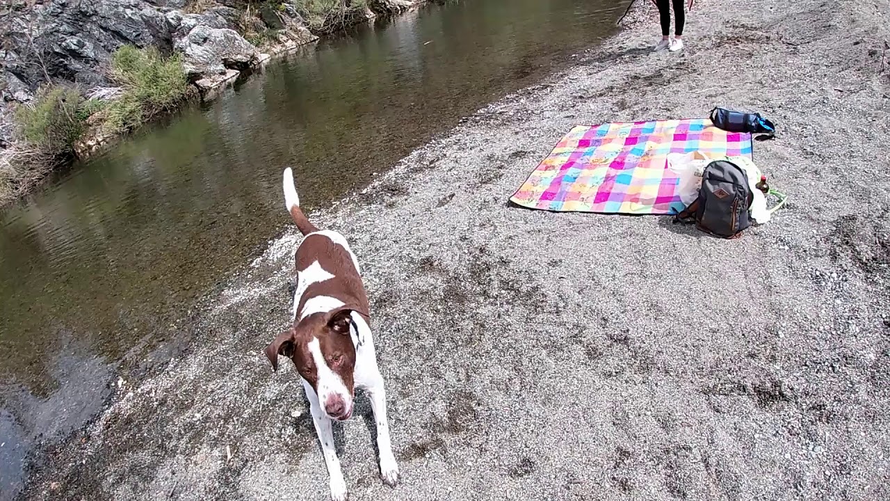 SASSELLO E LAGO DEI GULLI