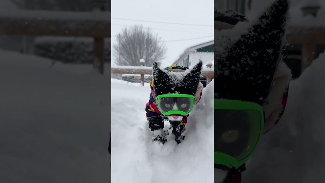 Ready for snow 