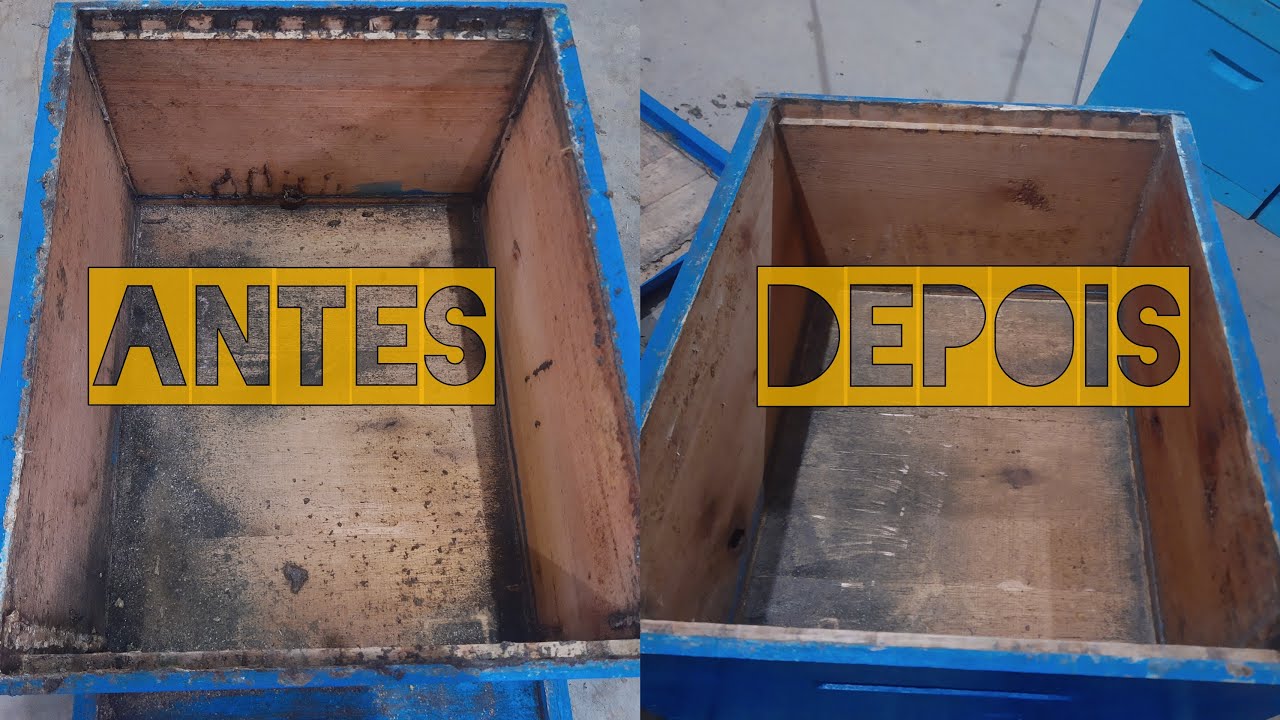 Limpeza das caixas de Abelha/ Fazendo a raspagem da própolis #bee #apis #propolis