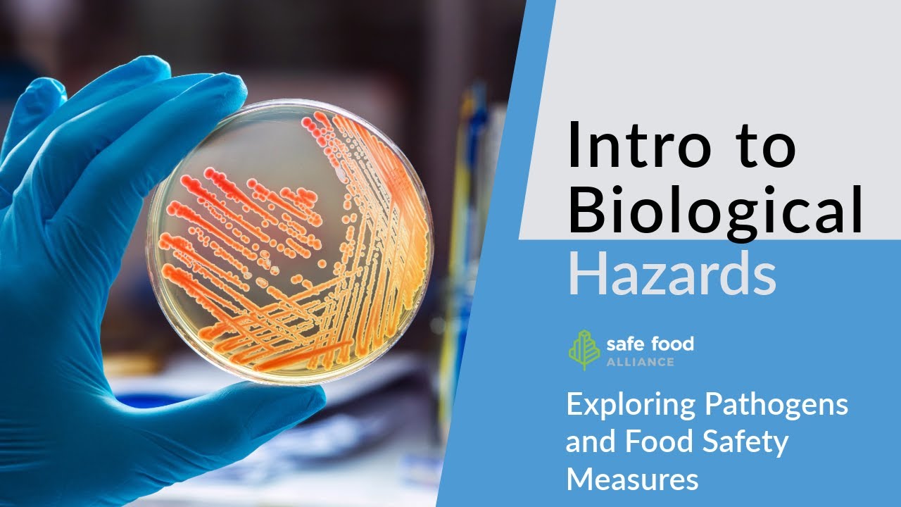 HACCP 101: Exploring Pathogens and Food Safety Measures