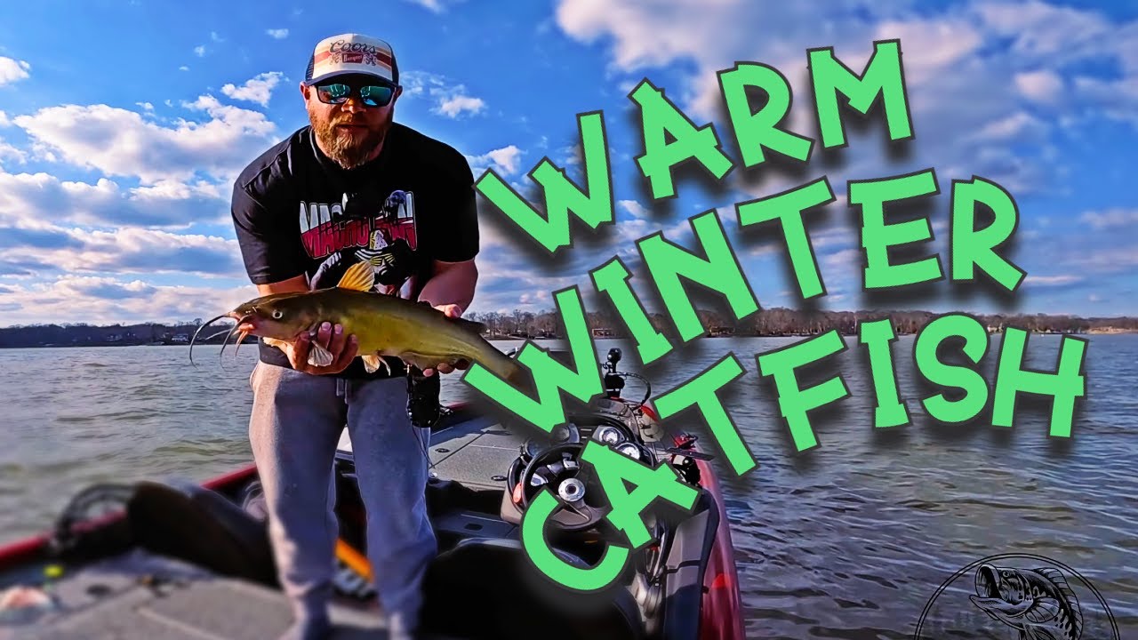 Catfishing on WARM Winter Days - WHERE DID THEY GO?