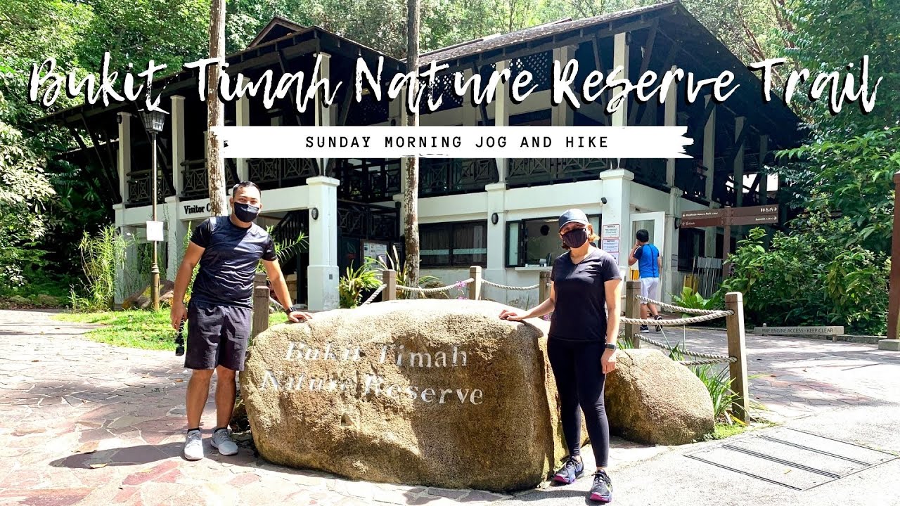 Bukit Timah Nature Reserve Trail - Highest Peak in Singapore | WalterNei
