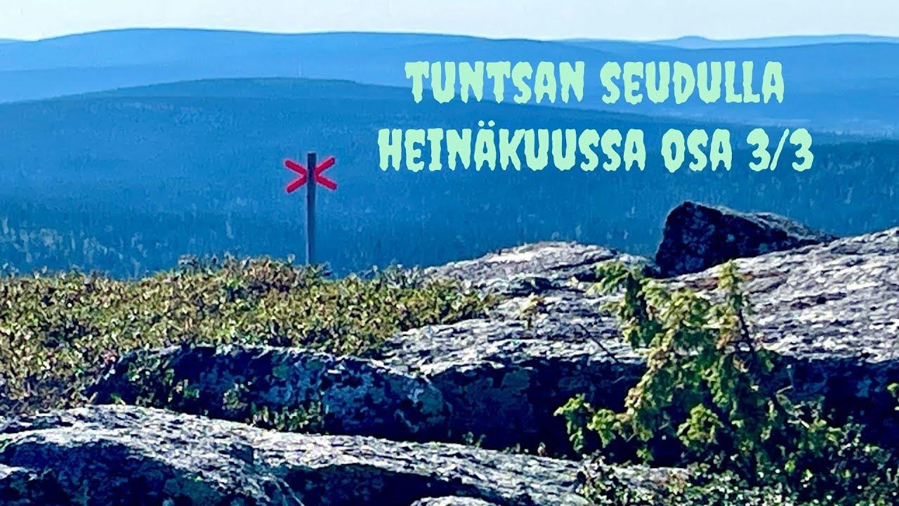 Tuntsan seudulla heinäkuussa 2024, osa 3/3