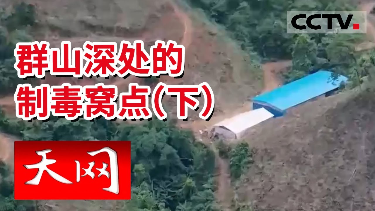 《天网》一锅端！水陆空三方特警联动 一举剿灭制毒窝点 破获特大制毒贩毒案件（下）  CCTV社会与法