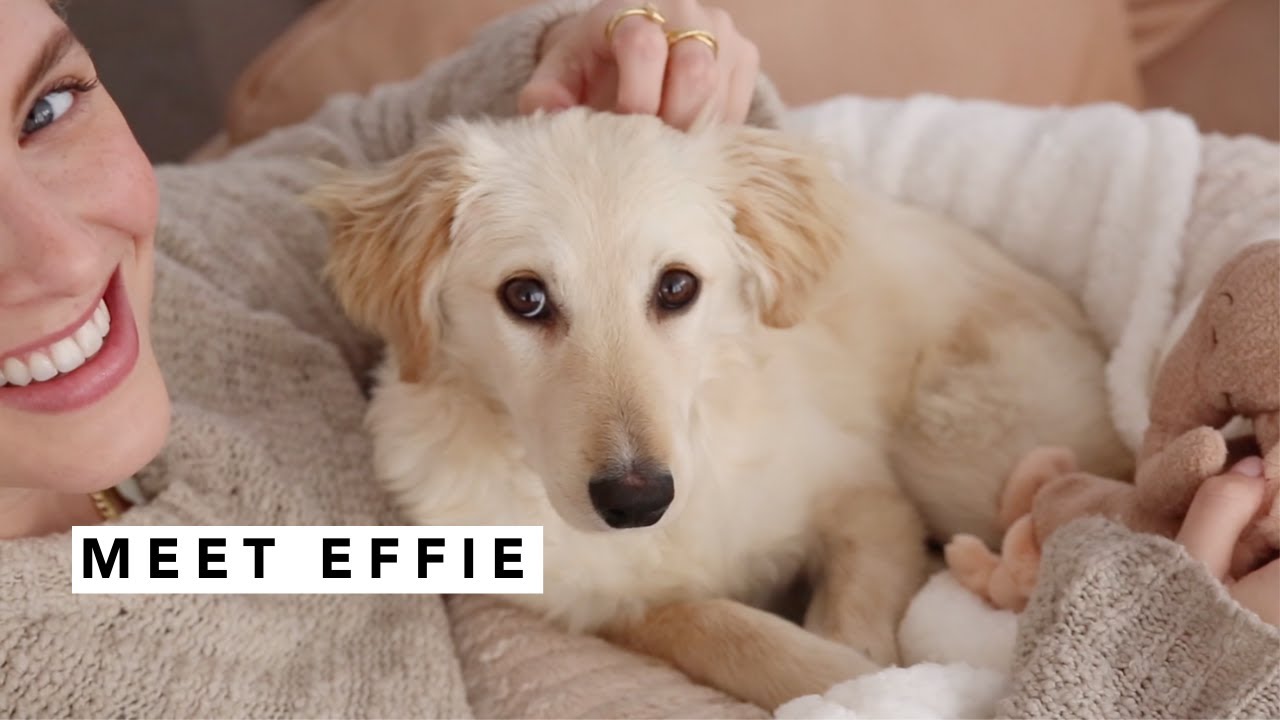 Meet Effie | Estée Lalonde