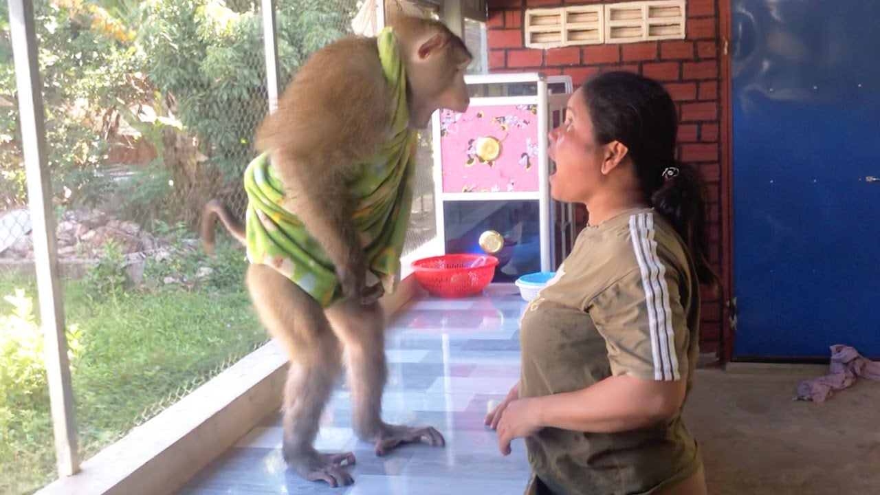 Clever Jason Sternly Arrogant Forbid Mom Kiss Him Many Kiss
