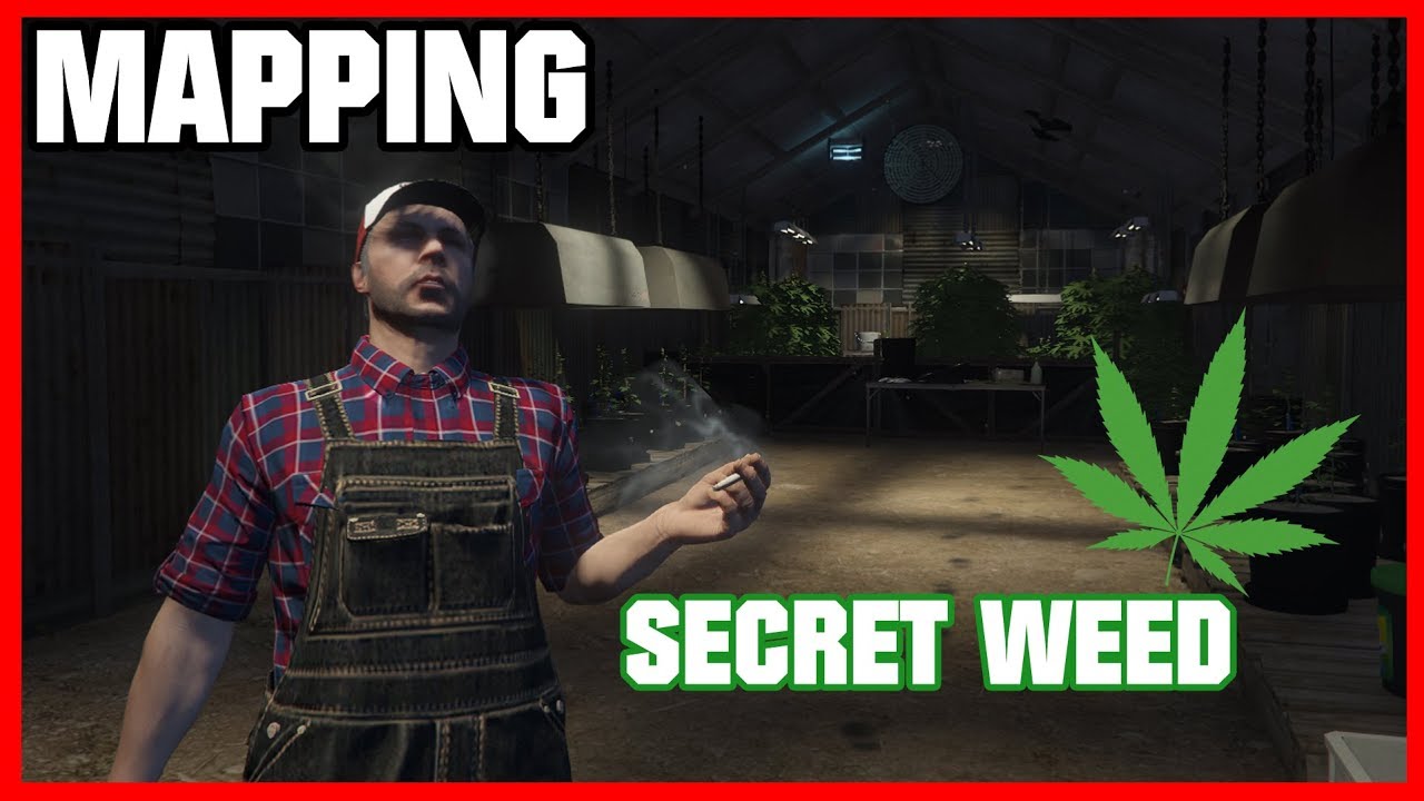 Patoche Mapping secret WEED Base