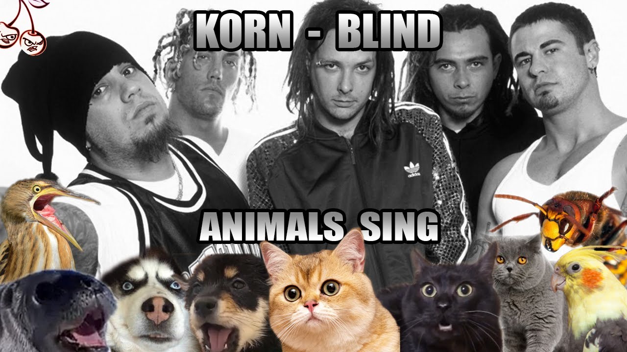 Korn - Blind (Animal Cover)