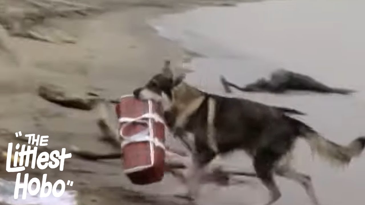 The Spirit of Thunder Rock – Part 1 | The Littlest Hobo | Season 4 | Episode 7