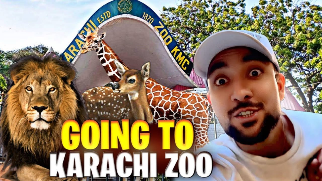 Maholy Ky Bacho Ko Karachi Zoo Lygya🦁Bachy Bht Khush Thy🥰Or Mujy Choot Lagai Ser Pr😓