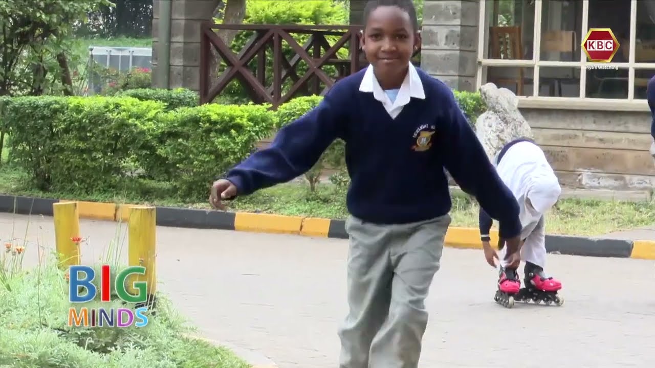 Big Minds I Skating by St Joseph International Science School pupils