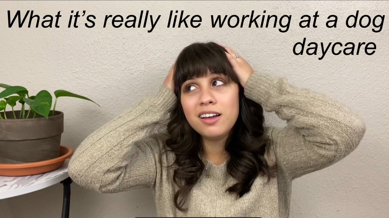 The TRUTH about working at a dog daycare