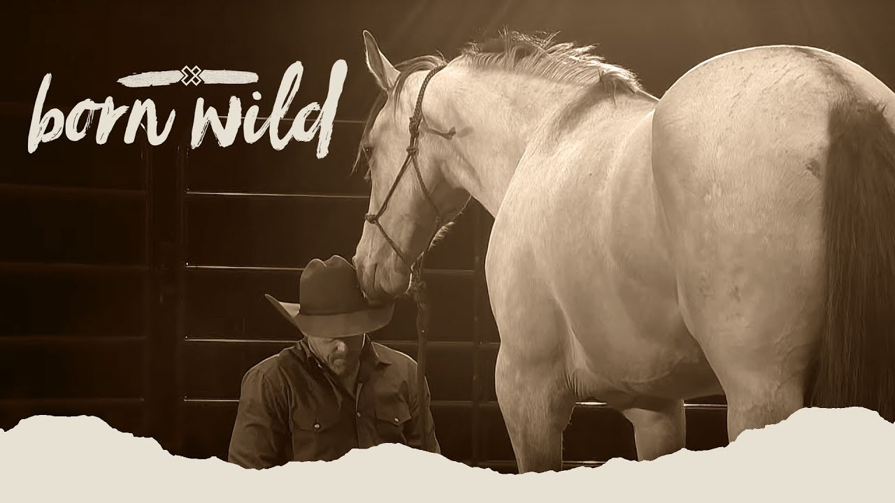 Training A Wild Horse In An Hour | Born Wild 9am (LIVE)