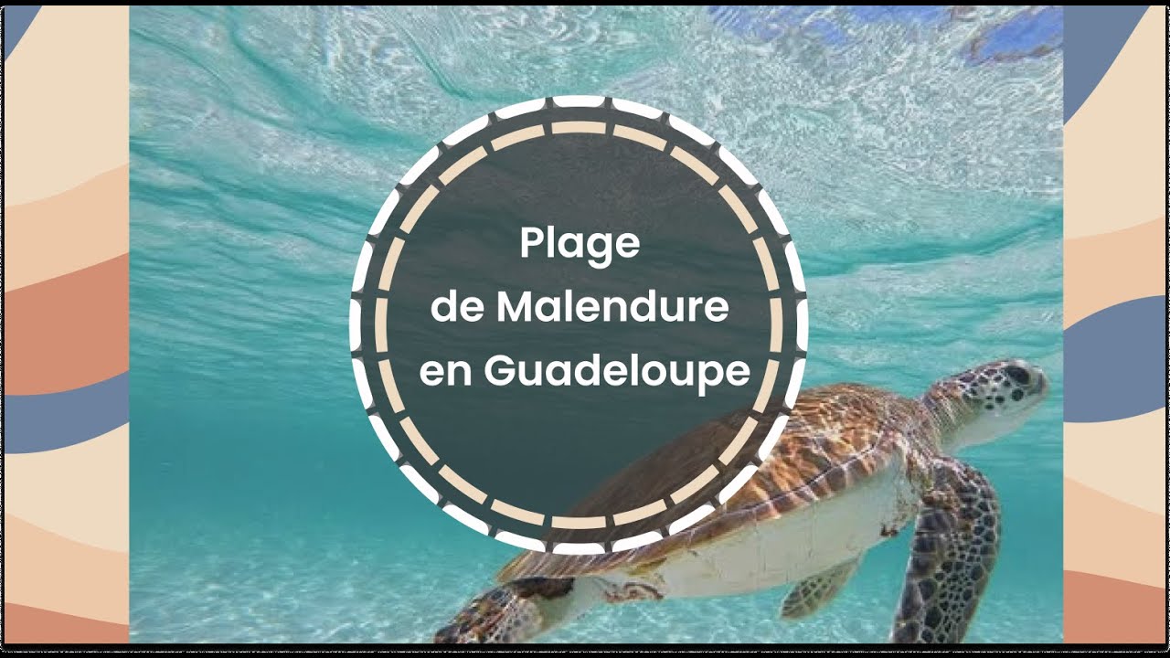 Plage de Malendure en Guadeloupe, Bouillante - 4K Visite virtuel