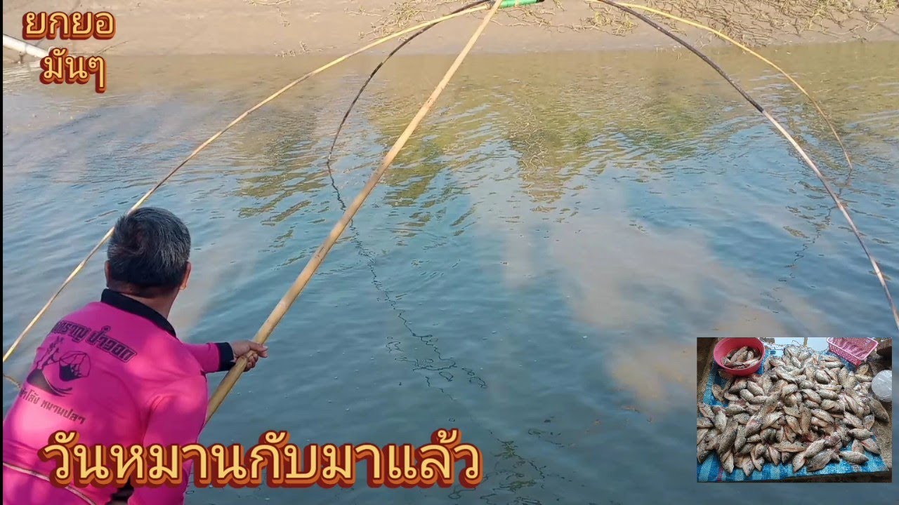 #ยกยอ มันๆ วันหมานกับมาแล้ว 2 กุมภาพันธ์ ค.ศ. 2024