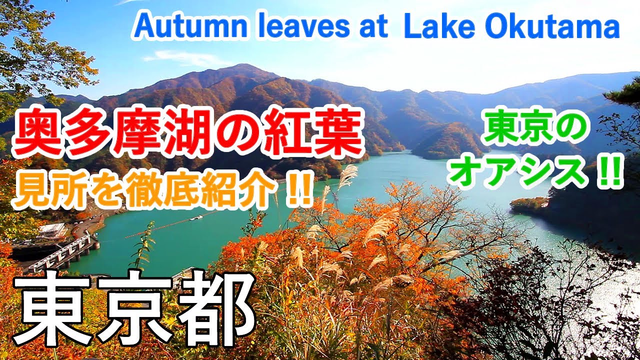東京都 奥多摩湖の紅葉（八方岩展望台・小河内神社・山のふるさと村） / Autumn leaves at Lake Okutama ( Tokyo, Japan )【日本の紅葉絶景！】