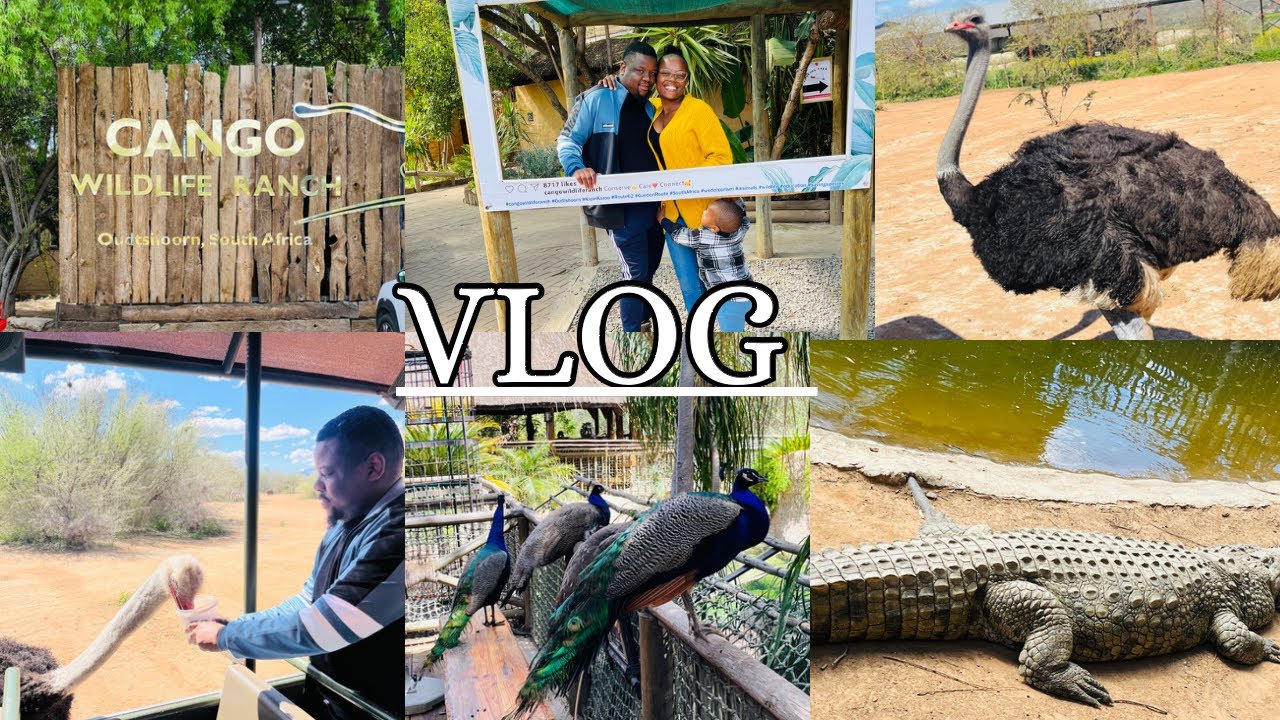 VLOG: Cango Wildlife Ranch + Safari Ostrich Farm | Oudtshoorn | Bake with me + Drawelry unboxing.