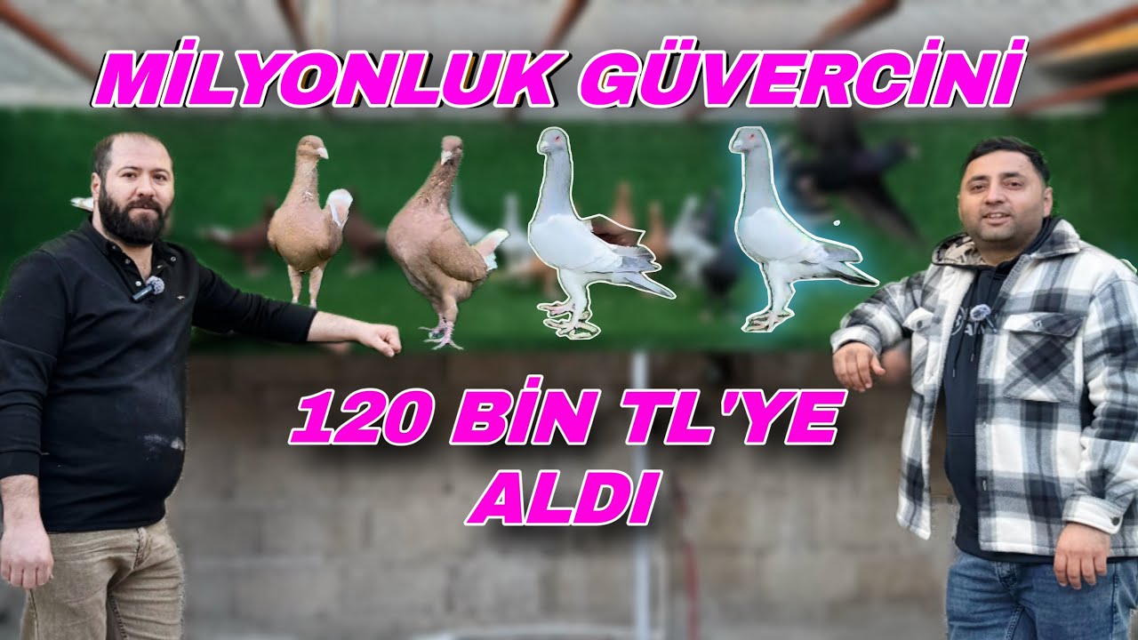 SURİYELİ FİLOCUNUN OCAĞINA İNCİR AĞACI DİKEN ADAM - MEHMET BOZKAYA