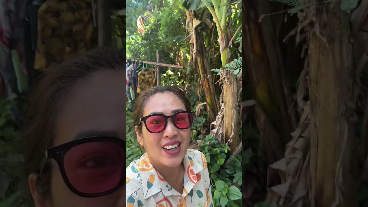 Sunday #lifeisbutadream 