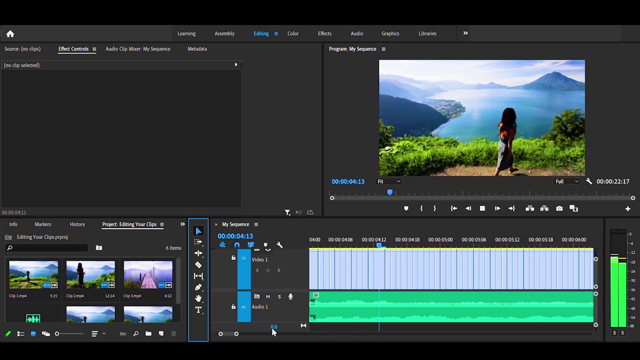 How To Make Flicker Effect In Adobe Premiere Pro