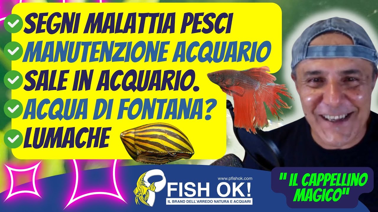 🧢 Segni malattia pesci, Migliori pratiche di manutenzione, Sale Acquario, Acqua di fontana?, Lumache