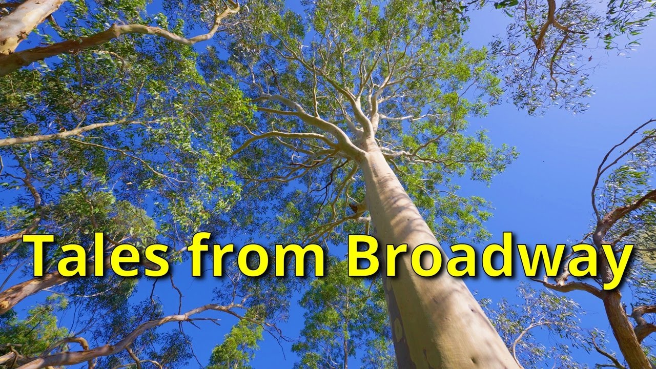 Tales from Broadway! 4k