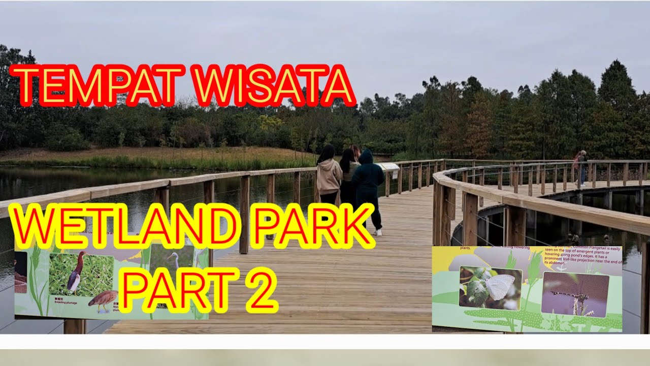 ROAD MENUJU WETLAND PARK PART 2 YANG ADA DI TIN SHUI WAI. # ikutin terus bersama ATINA TIN