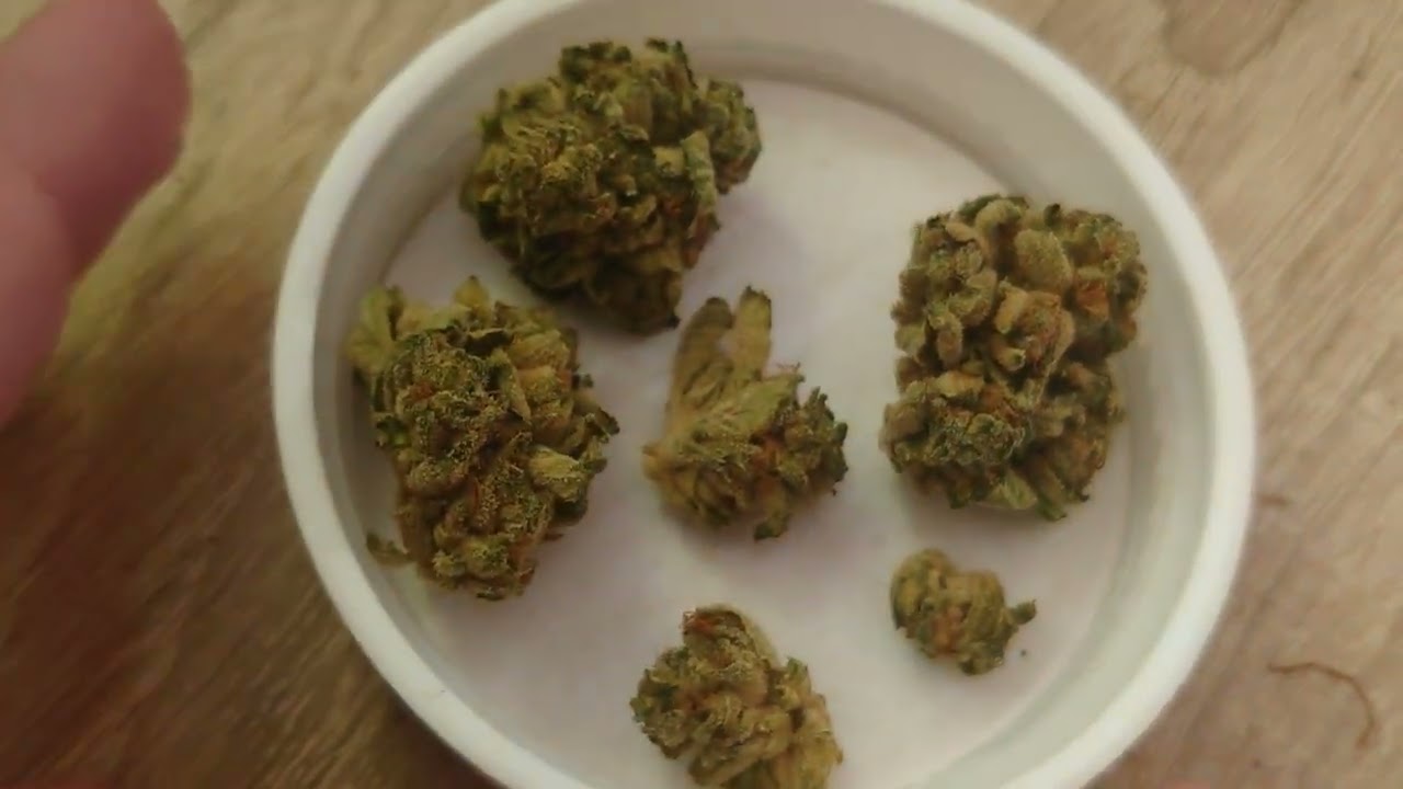 Tilray - 22 Spotlight Porto: Rockstar Strain Exploring (nighttime) / German & English speaking