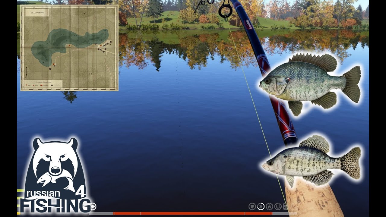 Russian Fishing 4: Elk Lake - Best Spin Fishing Location and Lures (Weekly Record & Trophy) #rf4