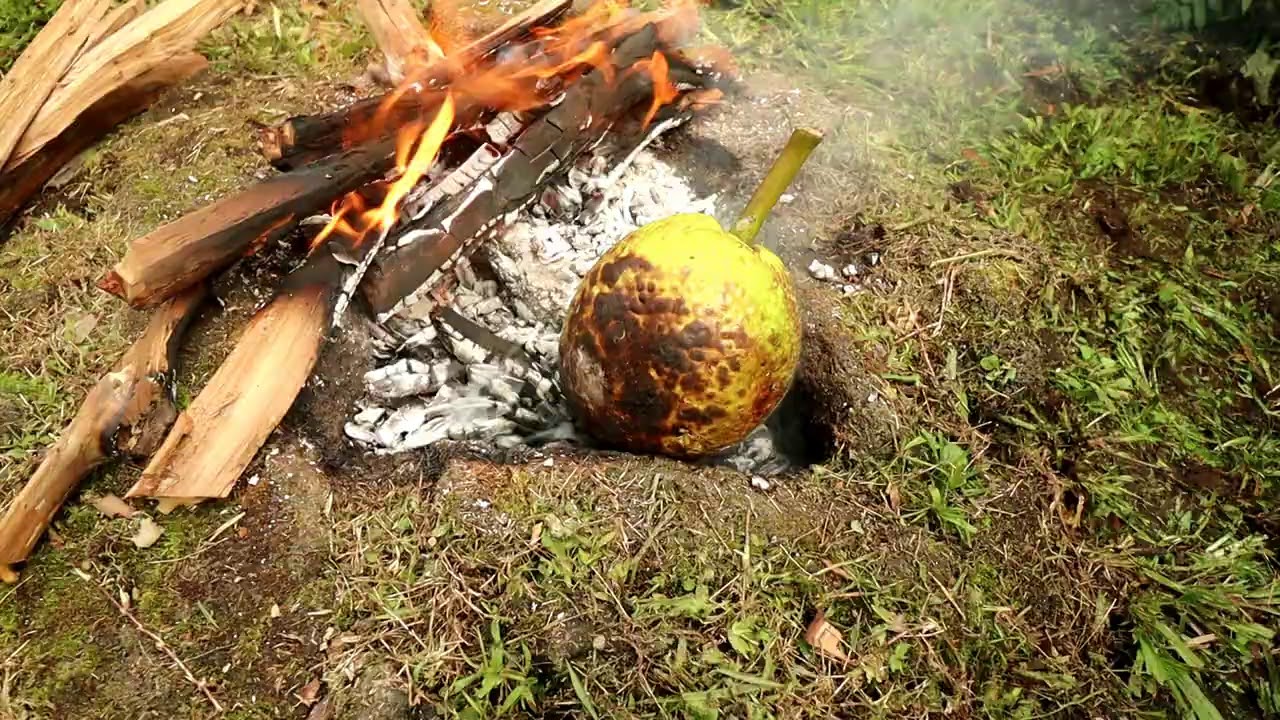 Lockdown Breadfruit Harvest and Campfire Cooking