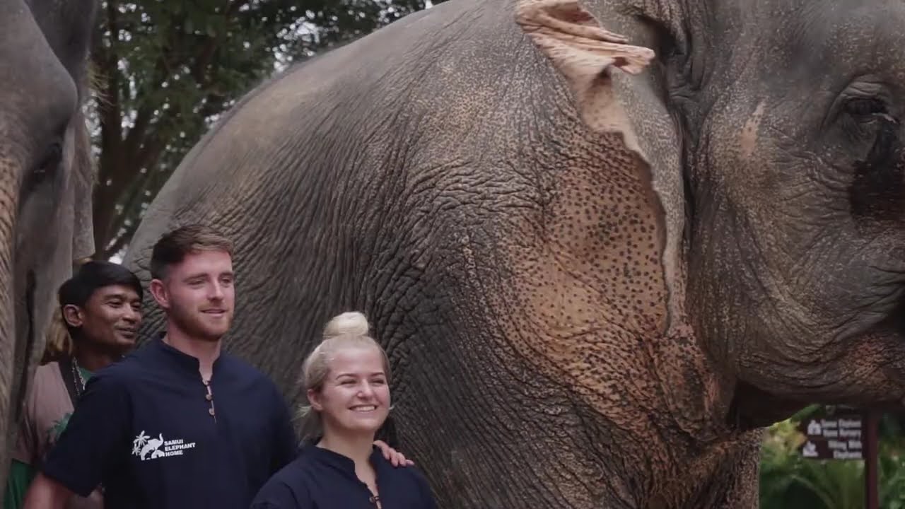 Samui Elephant Home