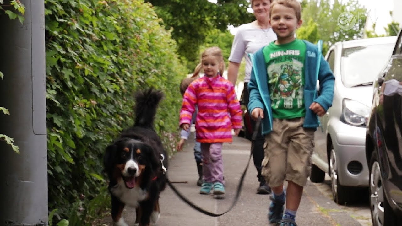 Vom Hund zum Erzieher: Bolle hat‘s geschafft!