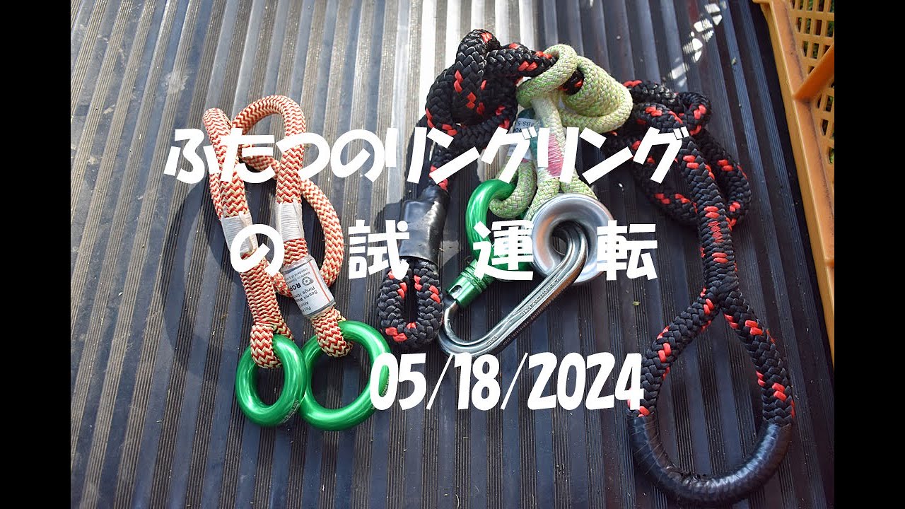 ふたつのリングリングの試運転：大源太農園20240518