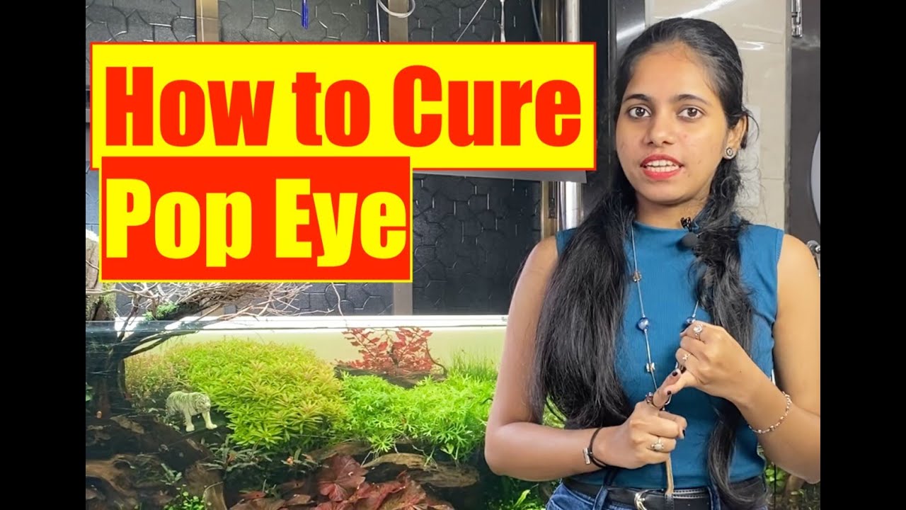 How to Cure Popeye Disease | Aquarium fish | Learn with Pooja | Mayur Dev Tips on Fish Keeping HD
